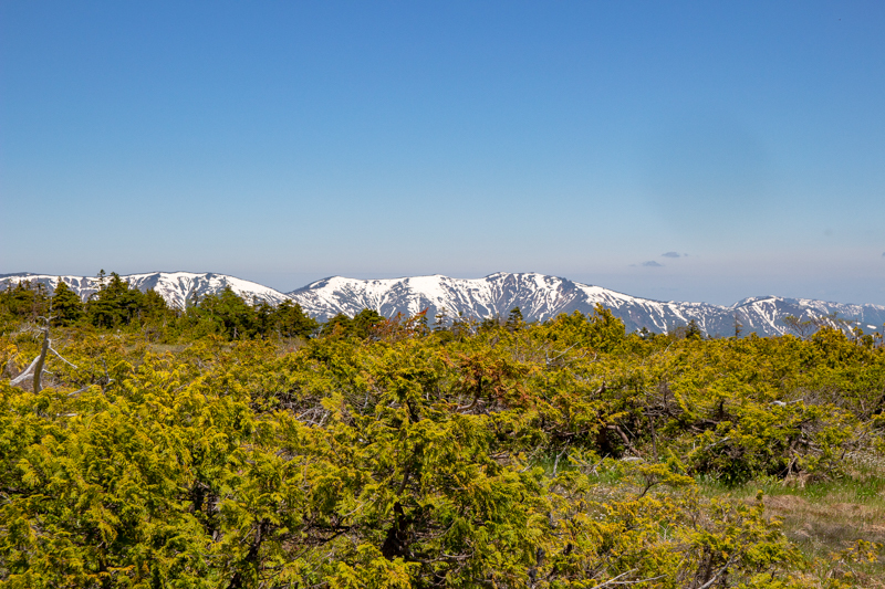 b0244811_16574752.jpg