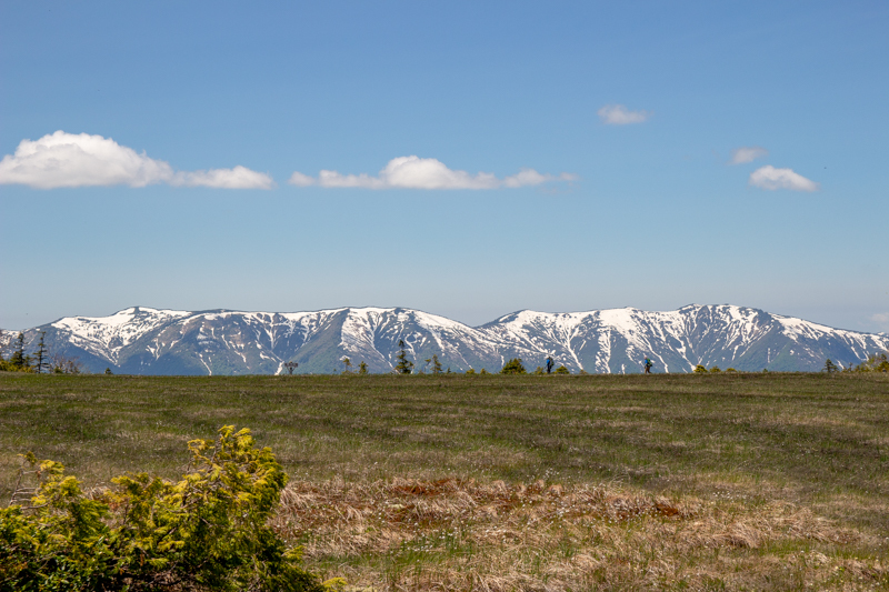 b0244811_16595193.jpg