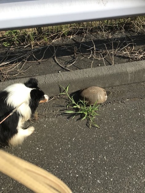 f0098313_16313101.jpeg