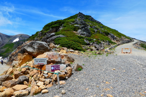 ＊＊＊ コマクサ咲く　乗鞍岳 (3,025,7M)  肩の小屋 編 ＊＊＊_d0170615_16381277.jpg