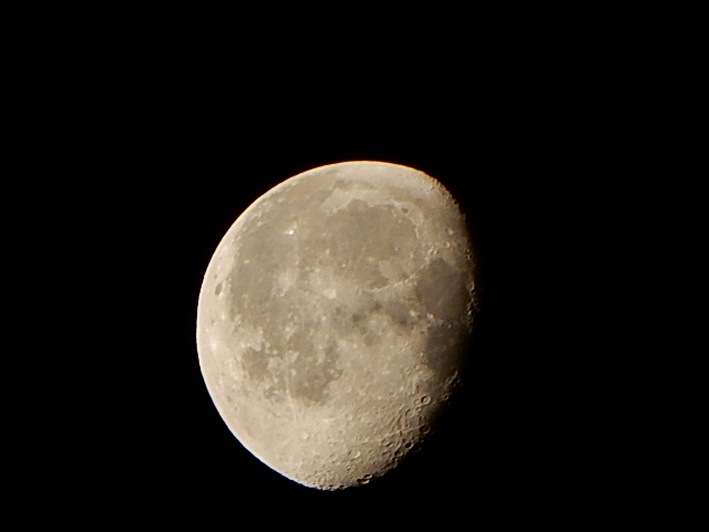 d0197317_13201669.jpg