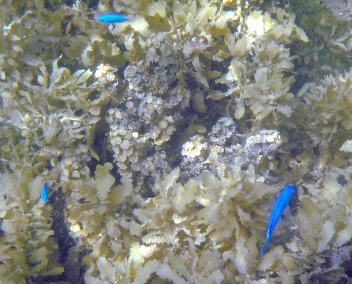 e0158517_23074849.jpg