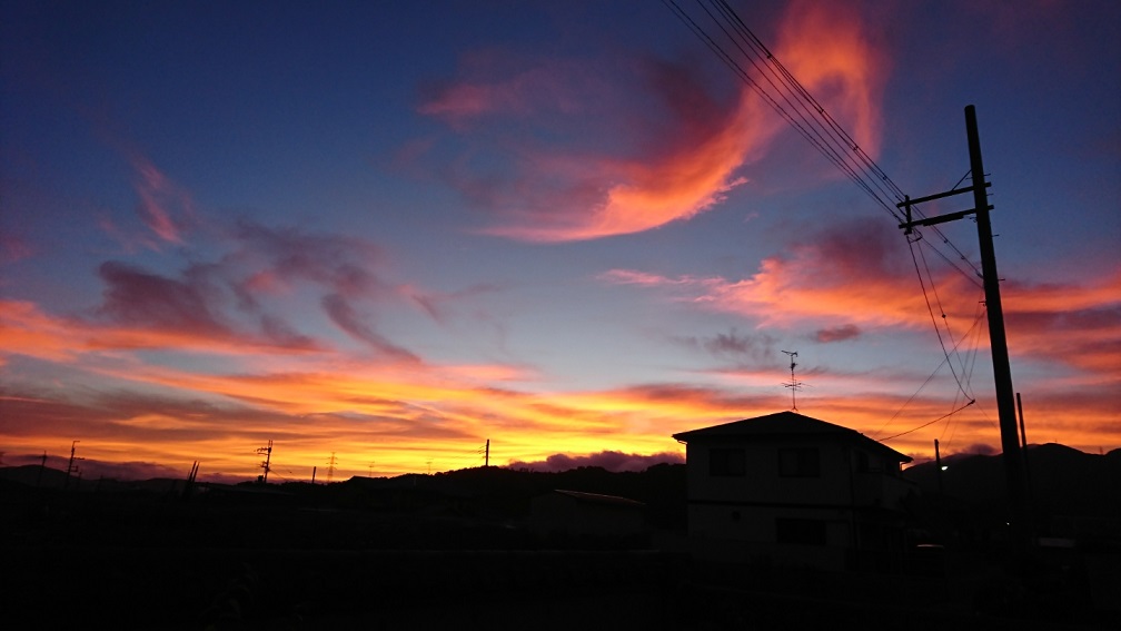 f0228619_1403154.jpg