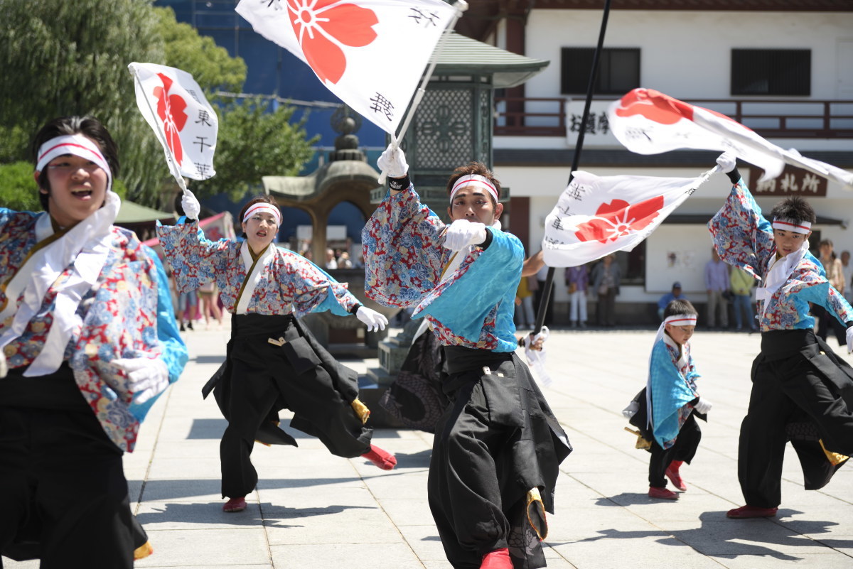 西新井大師よさこいフェスタ2018　「YOSAKOI連 桜舞」さん　千葉県野田市_c0276323_22494020.jpg