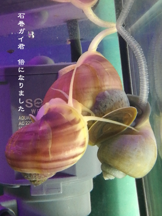 d0042827_20094466.jpg