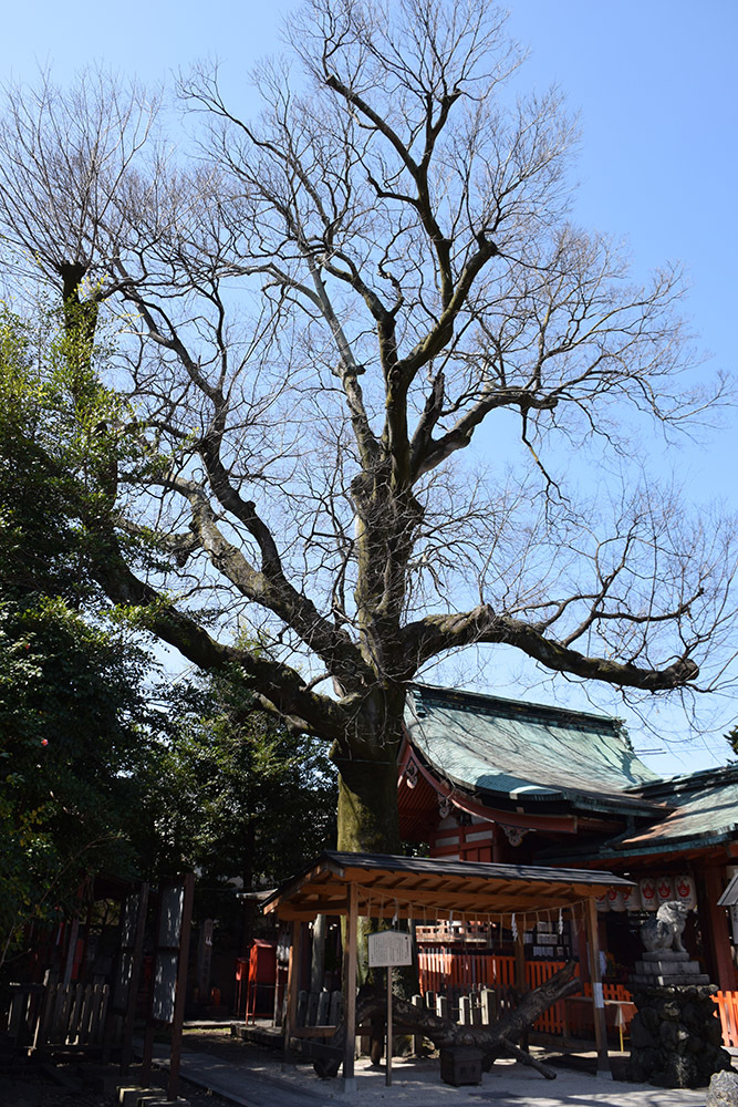 幕末京都逍遥　その９１　「武信稲荷神社」_e0158128_20512260.jpg