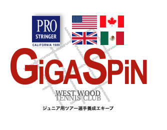 WestWood GigaSpin レポート_a0201132_11440951.png