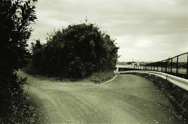 c0381632_20292490.jpg