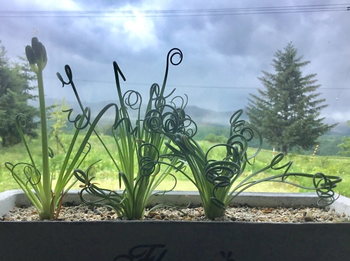a0329935_10314510.jpeg