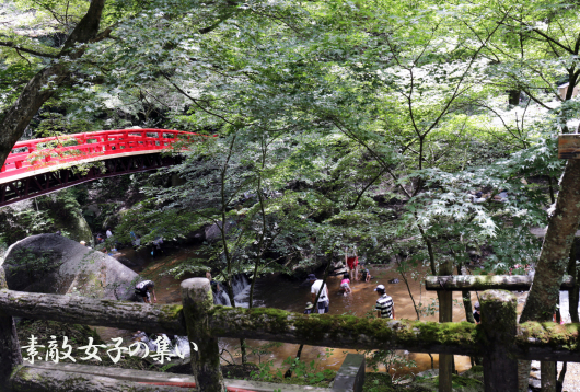 a0245136_17213798.jpg