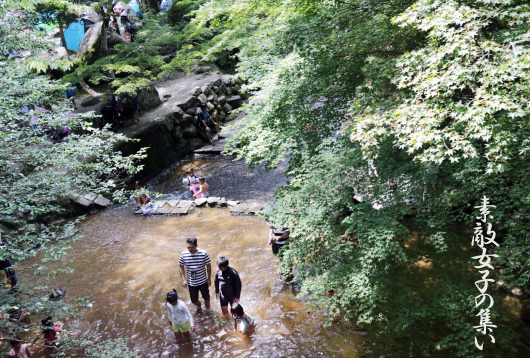 a0245136_17220251.jpg