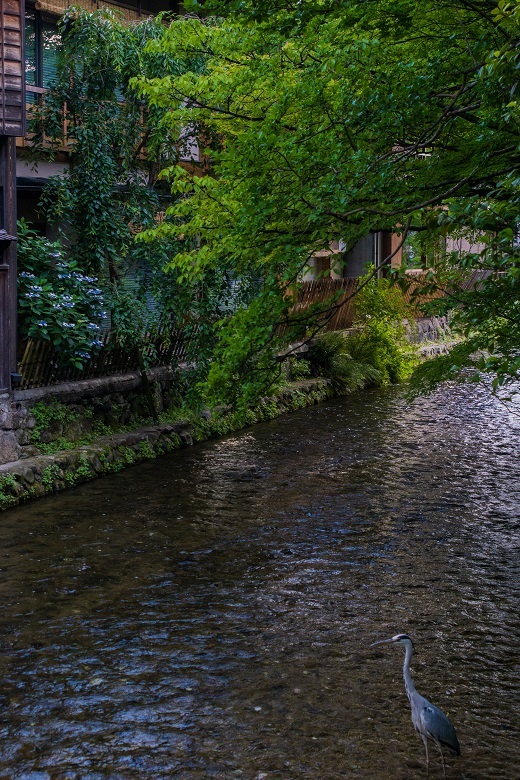 e0363038_13474032.jpg