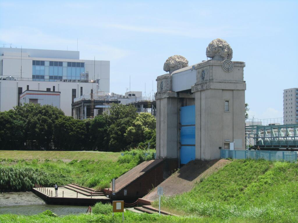 画像情報