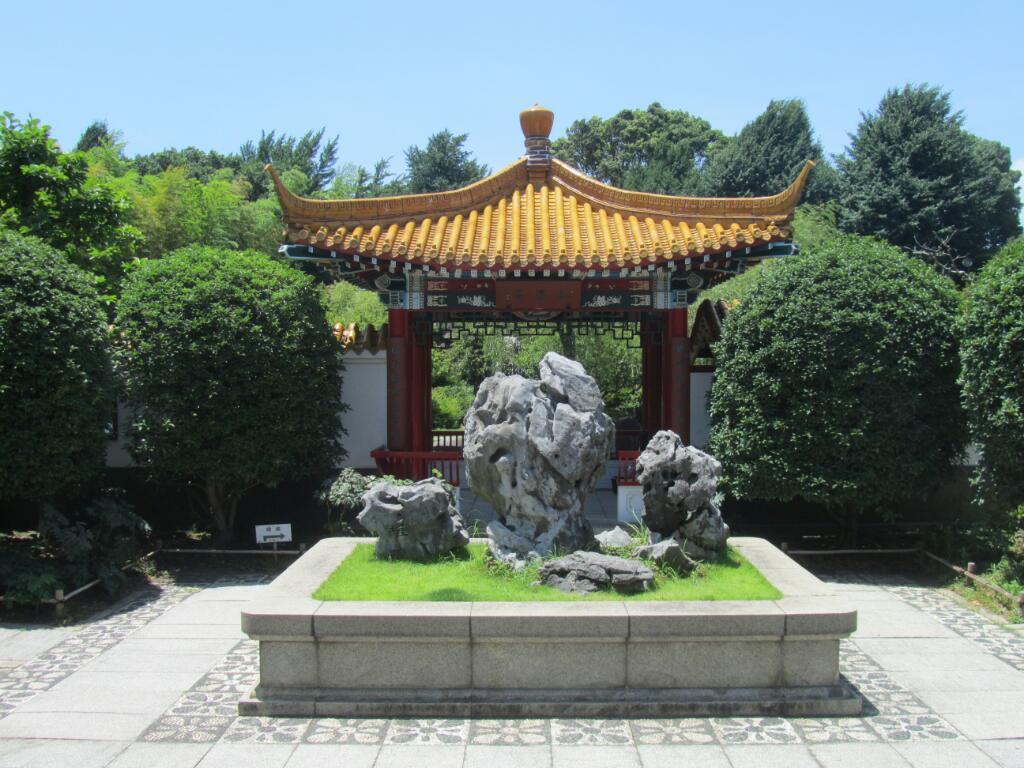 画像情報