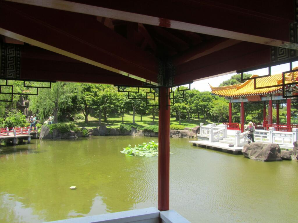 画像情報