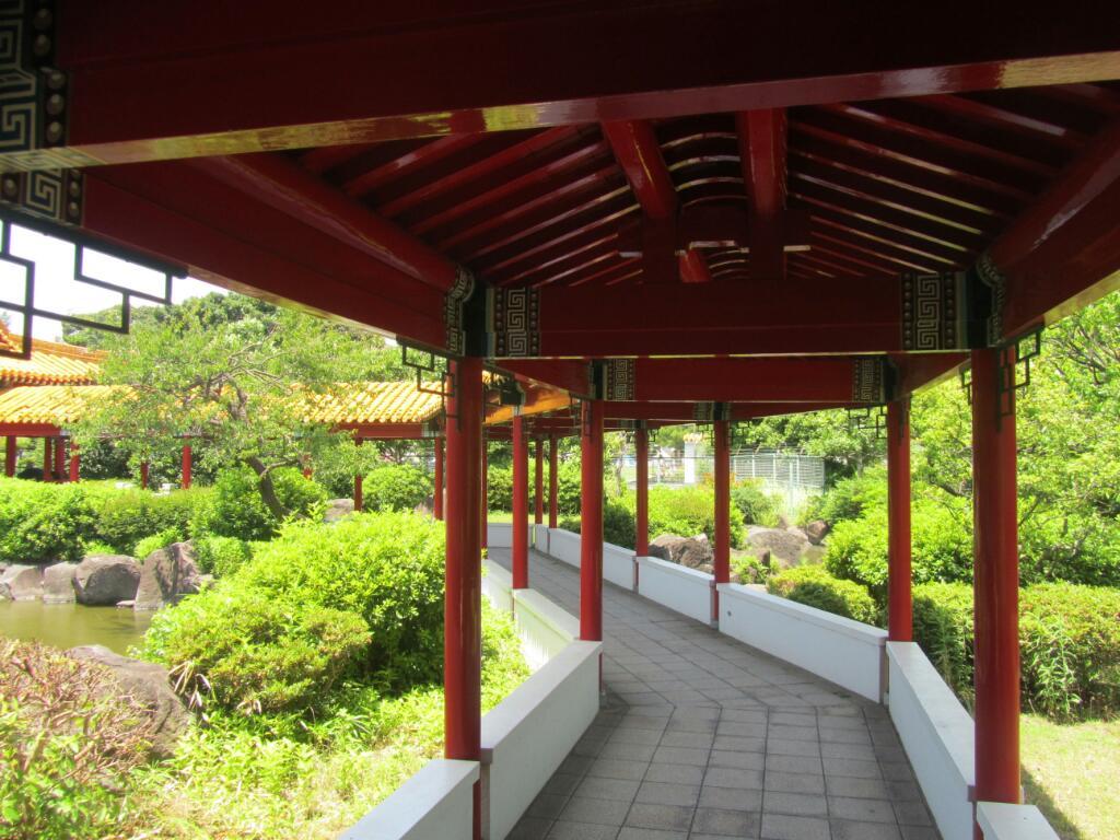 画像情報