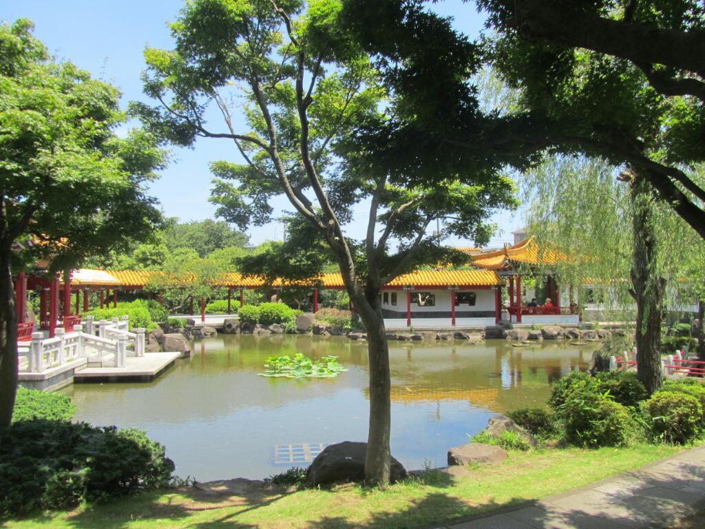 画像情報