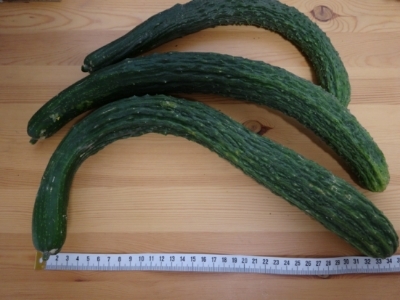 c0330749_14373719.jpg