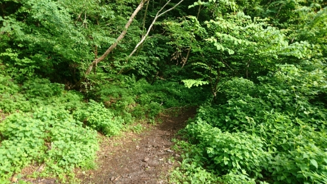 b0148050_18300600.jpg