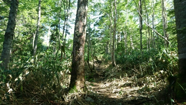 b0148050_18301107.jpg