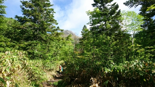 b0148050_18301323.jpg