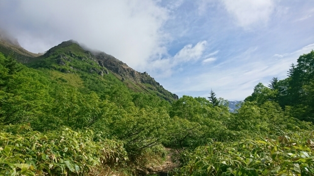 b0148050_18353561.jpg
