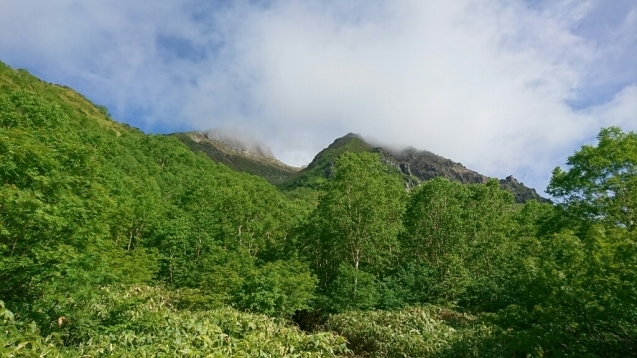 b0148050_18353876.jpg