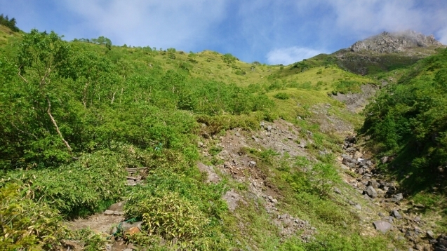 b0148050_18354176.jpg