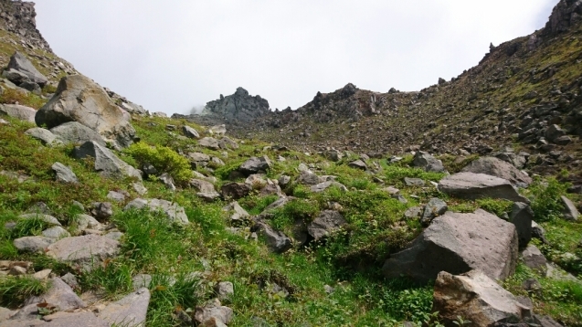 b0148050_18394267.jpg