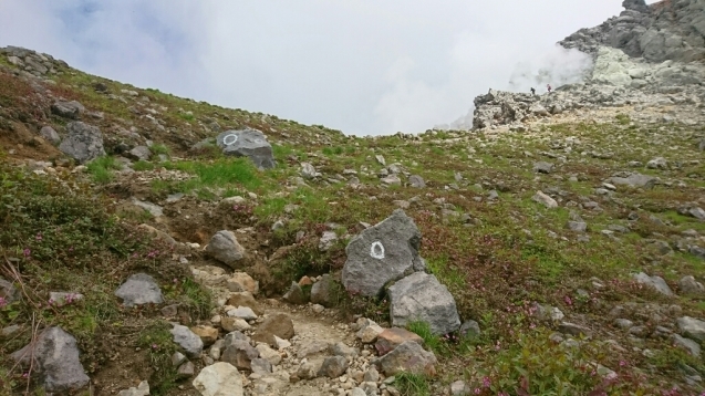 b0148050_18395445.jpg