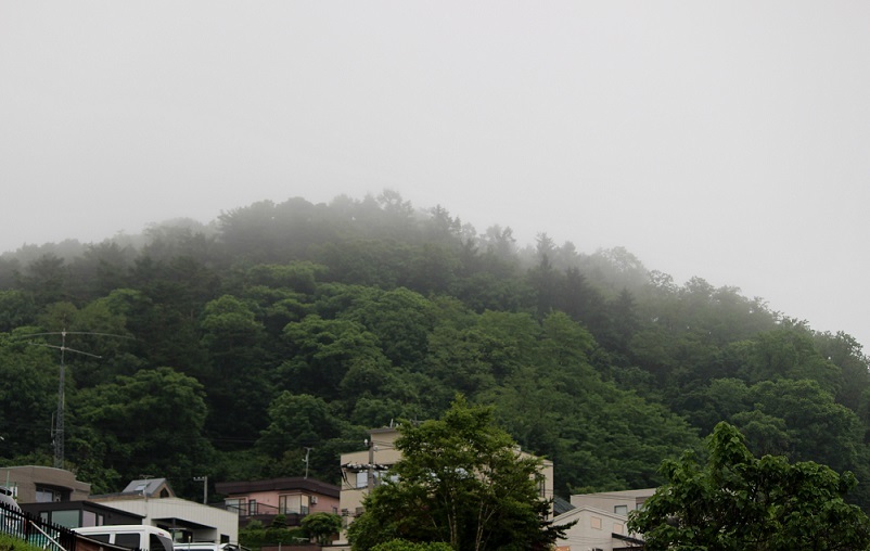 今日も雨_c0278360_19551448.jpg