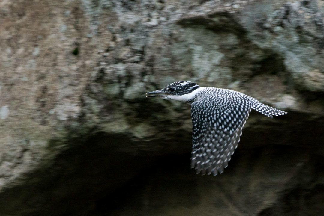 d0387361_19581053.jpg