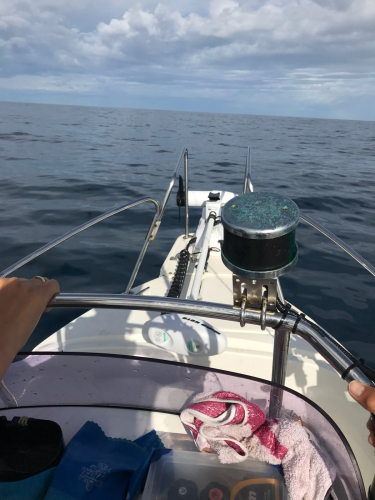 釣れる鼠ヶ関マリーナ 漁師です