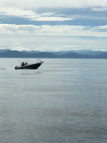 釣れる鼠ヶ関マリーナ 漁師です