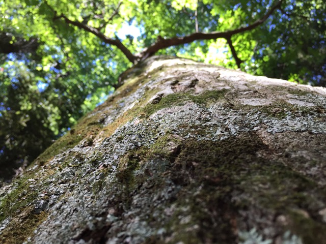 c0008664_21504060.jpg