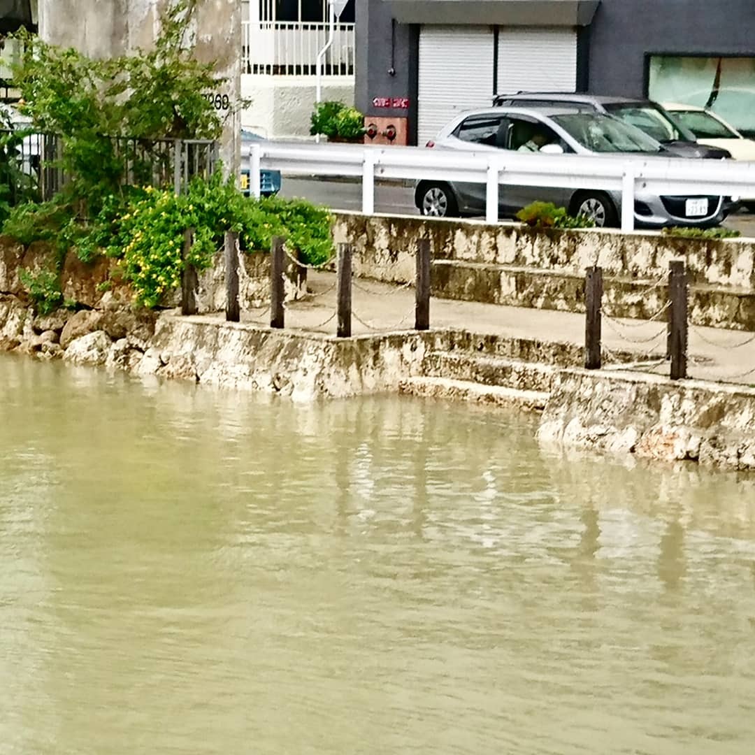 c0100865_05570232.jpg
