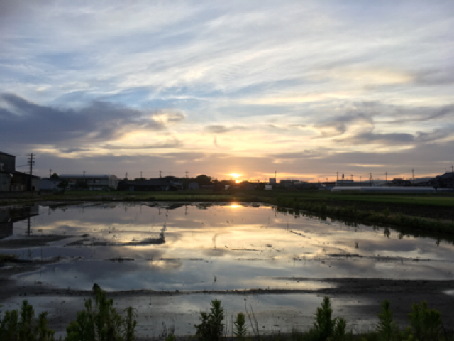朝露さんぽ_e0136066_08085424.jpg