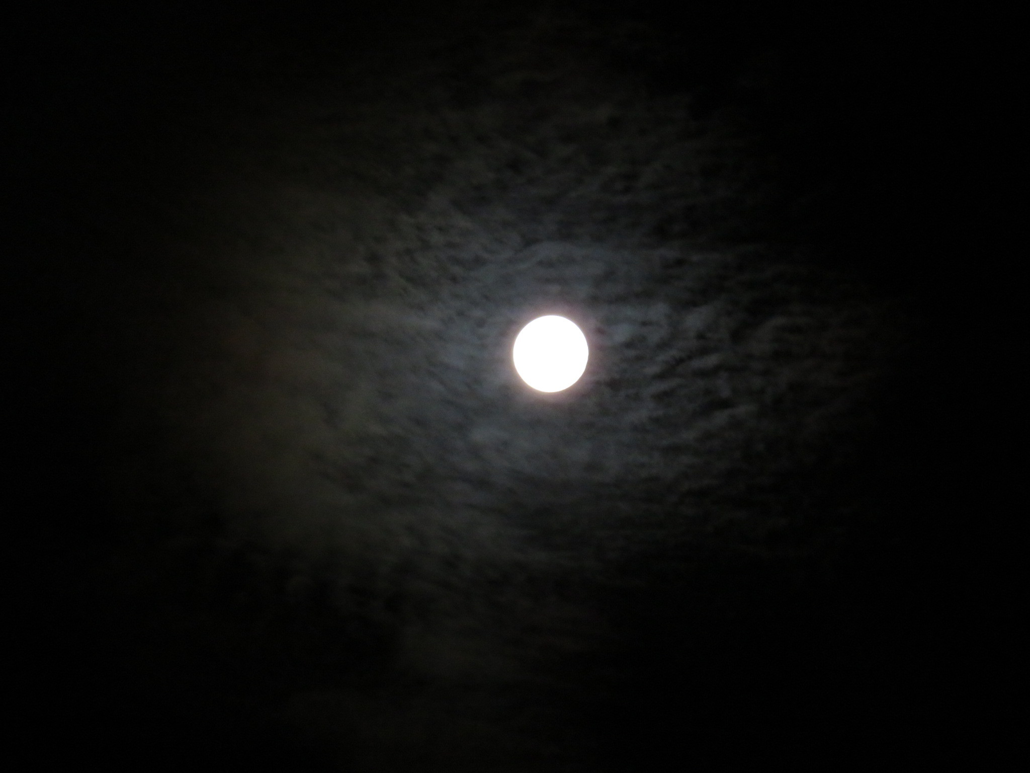 f0032766_21285283.jpg