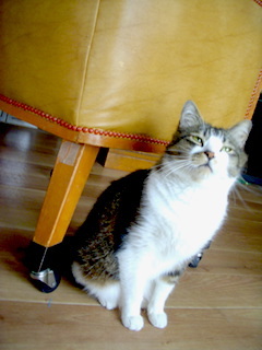 d0249667_00470890.jpg