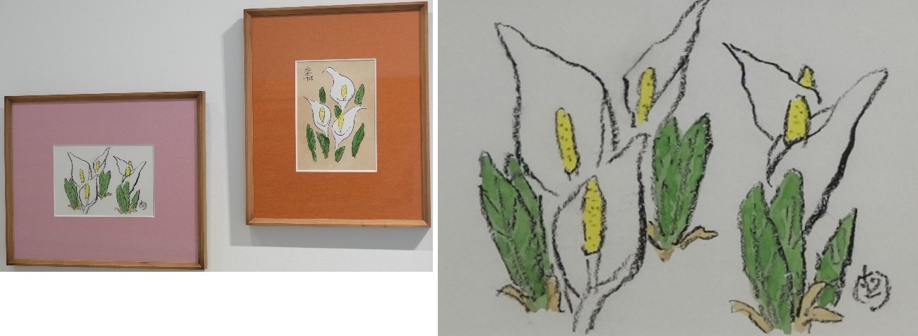 号外 札幌六花亭本店「坂本直行植物園 ー私の草木漫筆よりー