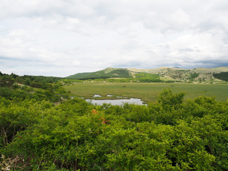 f0372177_20435511.jpg