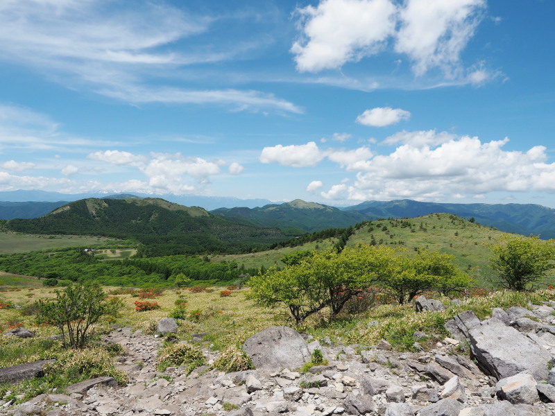 f0372177_21591411.jpg
