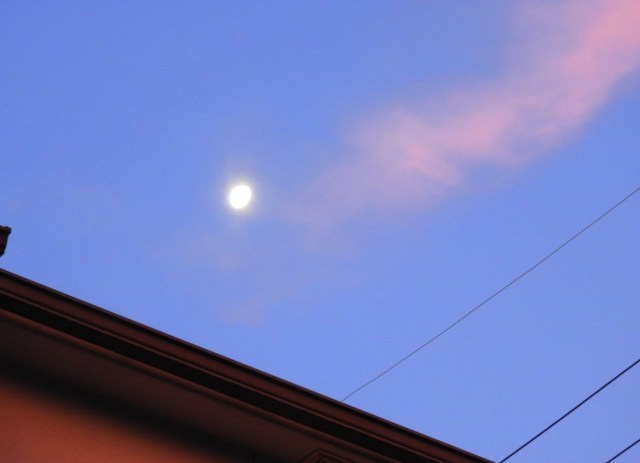 f0378979_12141189.jpg