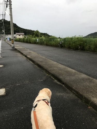 f0315081_22170169.jpeg