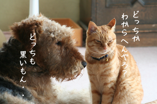 a0216583_21381607.png