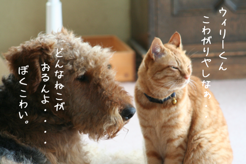 a0216583_21382043.png