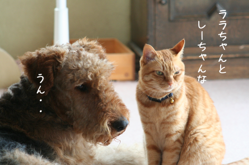 a0216583_21424015.png