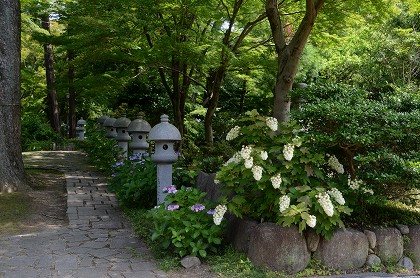 c0229483_11211437.jpg