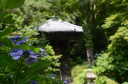 c0229483_11233251.jpg