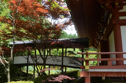 c0229483_1124154.jpg